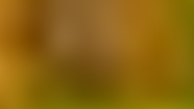 K 020